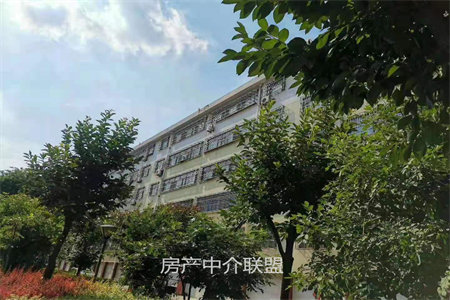 王晁煤电集团宿舍4室2厅个人房源有房产证能过户